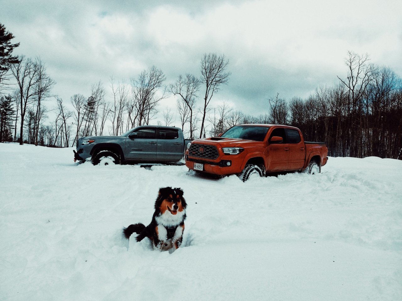 20230128_143823-02-01.jpg
