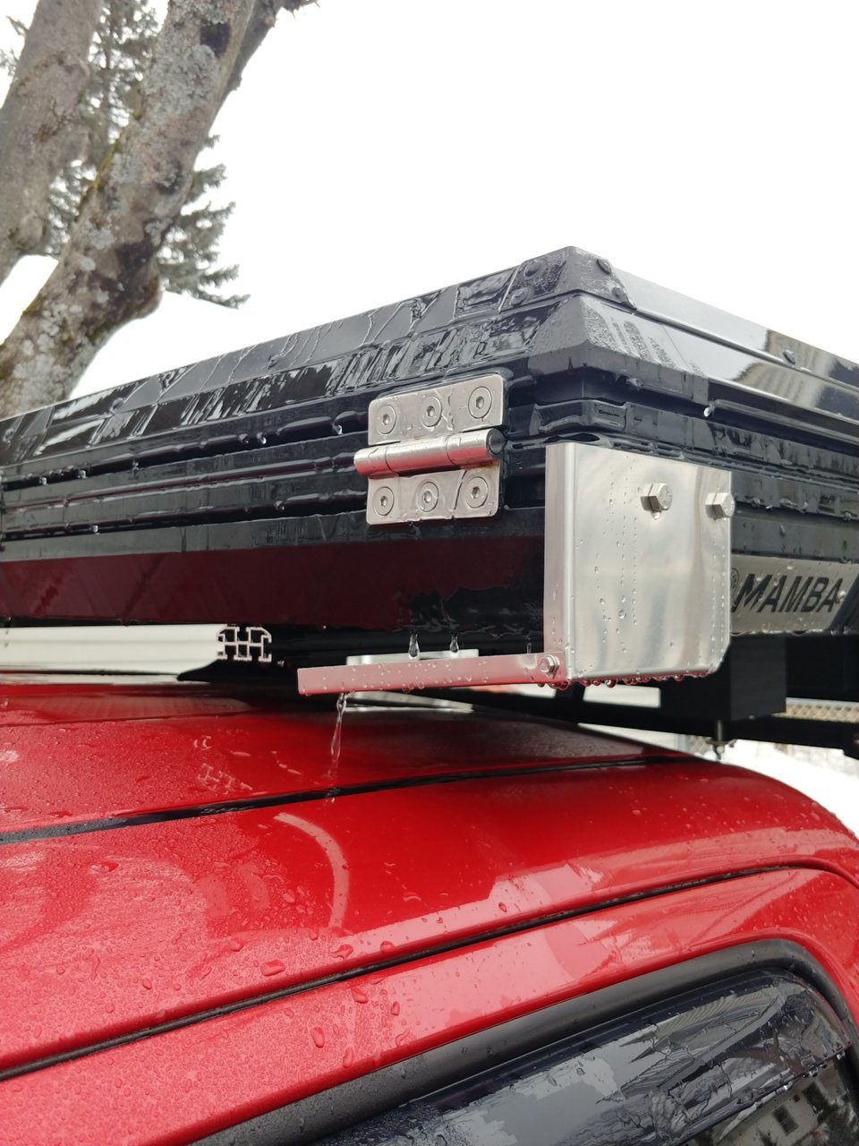 20230129_125811_HDR.jpg