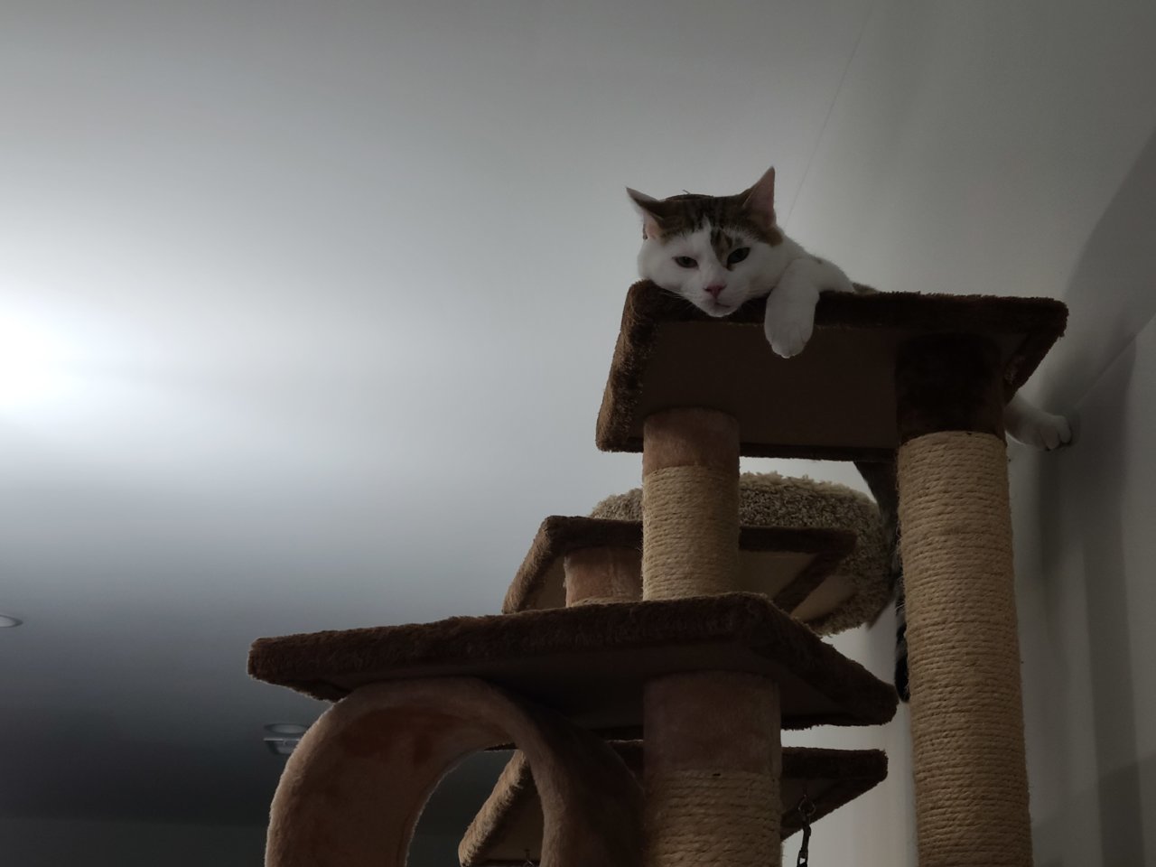 20230131_125757.jpg