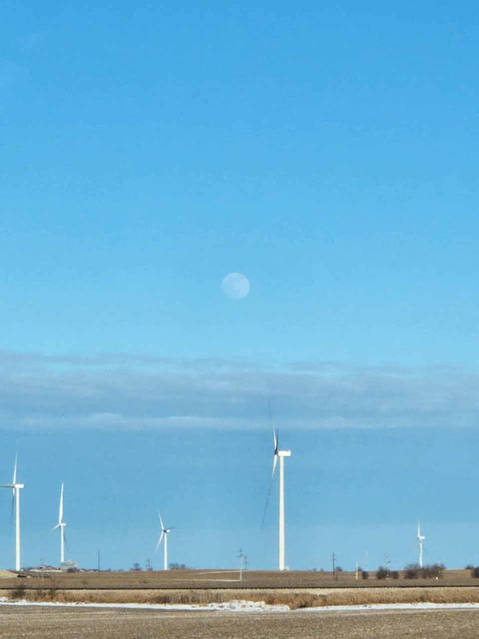 20230203_154558.jpg