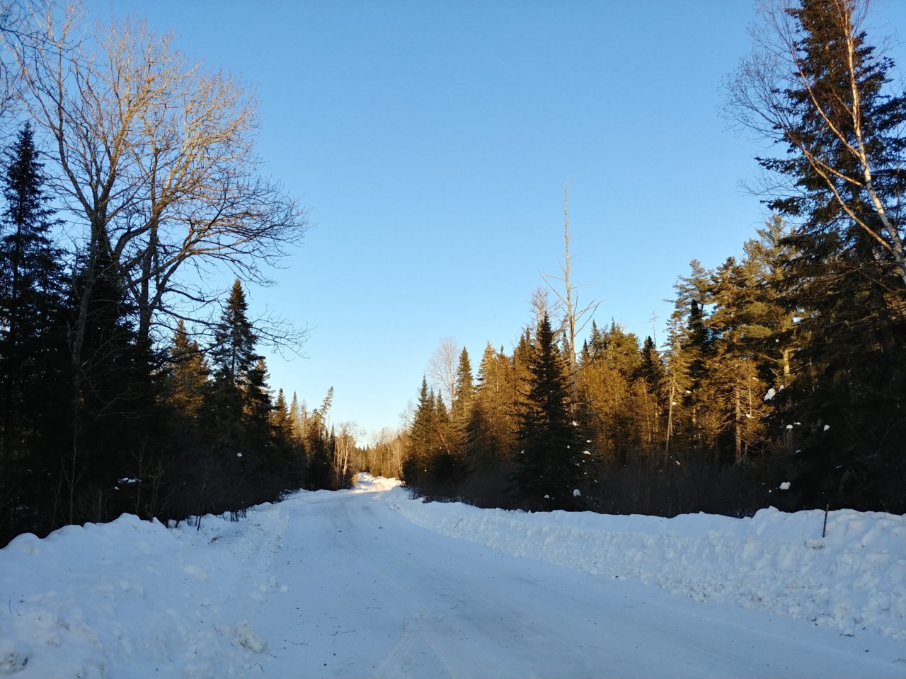 20230204_160644_HDR.jpg