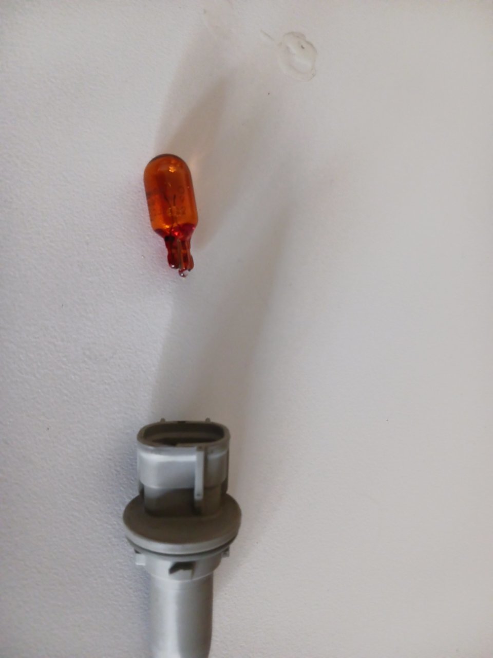 20230204_161010.jpg