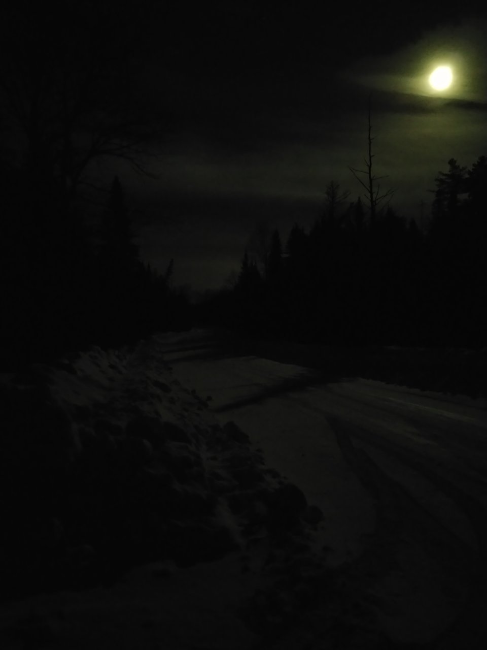 20230204_175746.jpg