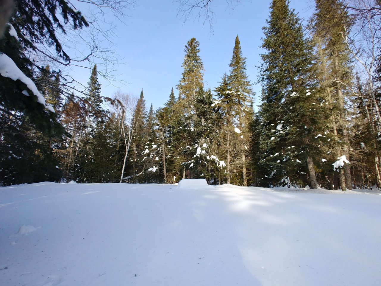 20230205_101245_HDR.jpg