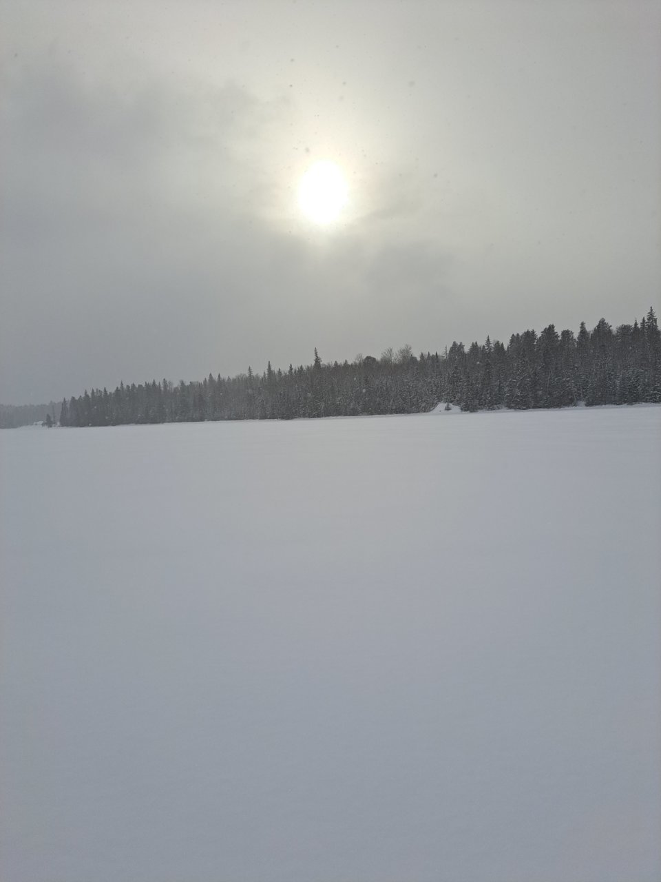 20230205_145824.jpg