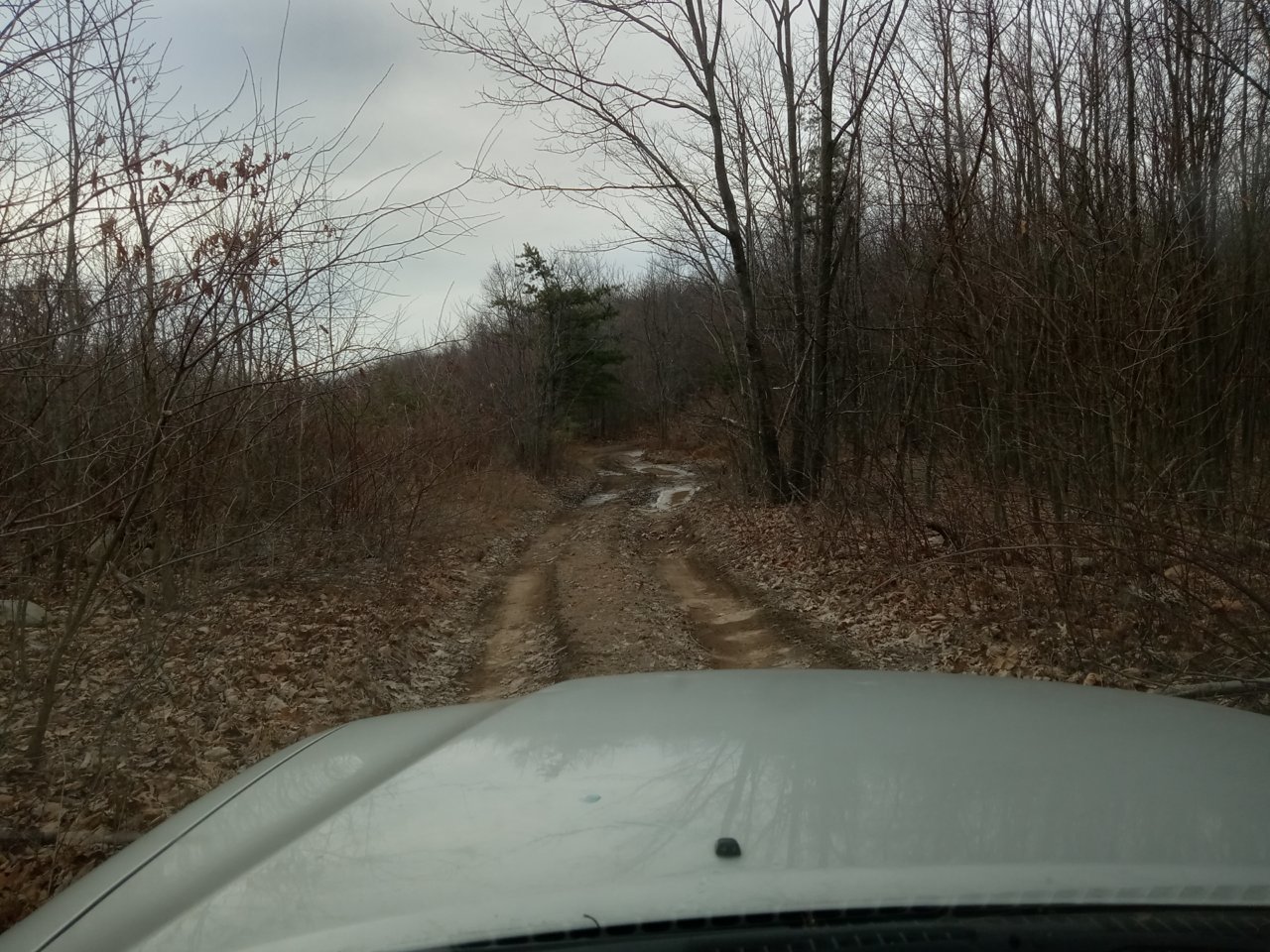 20230207_105617.jpg