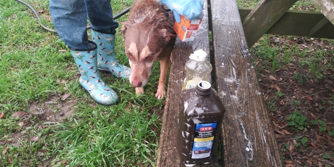 20230208_073237.jpg