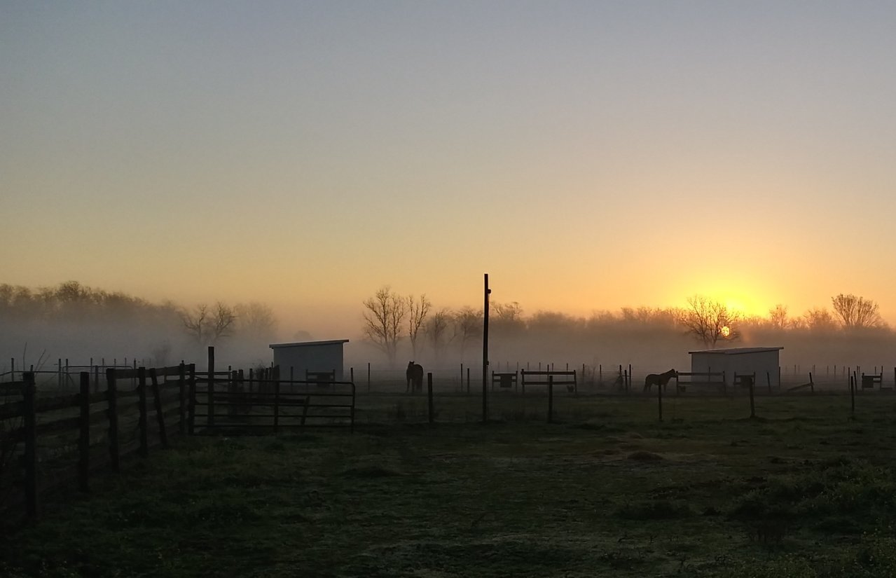 20230209_071613_HDR~2.jpg