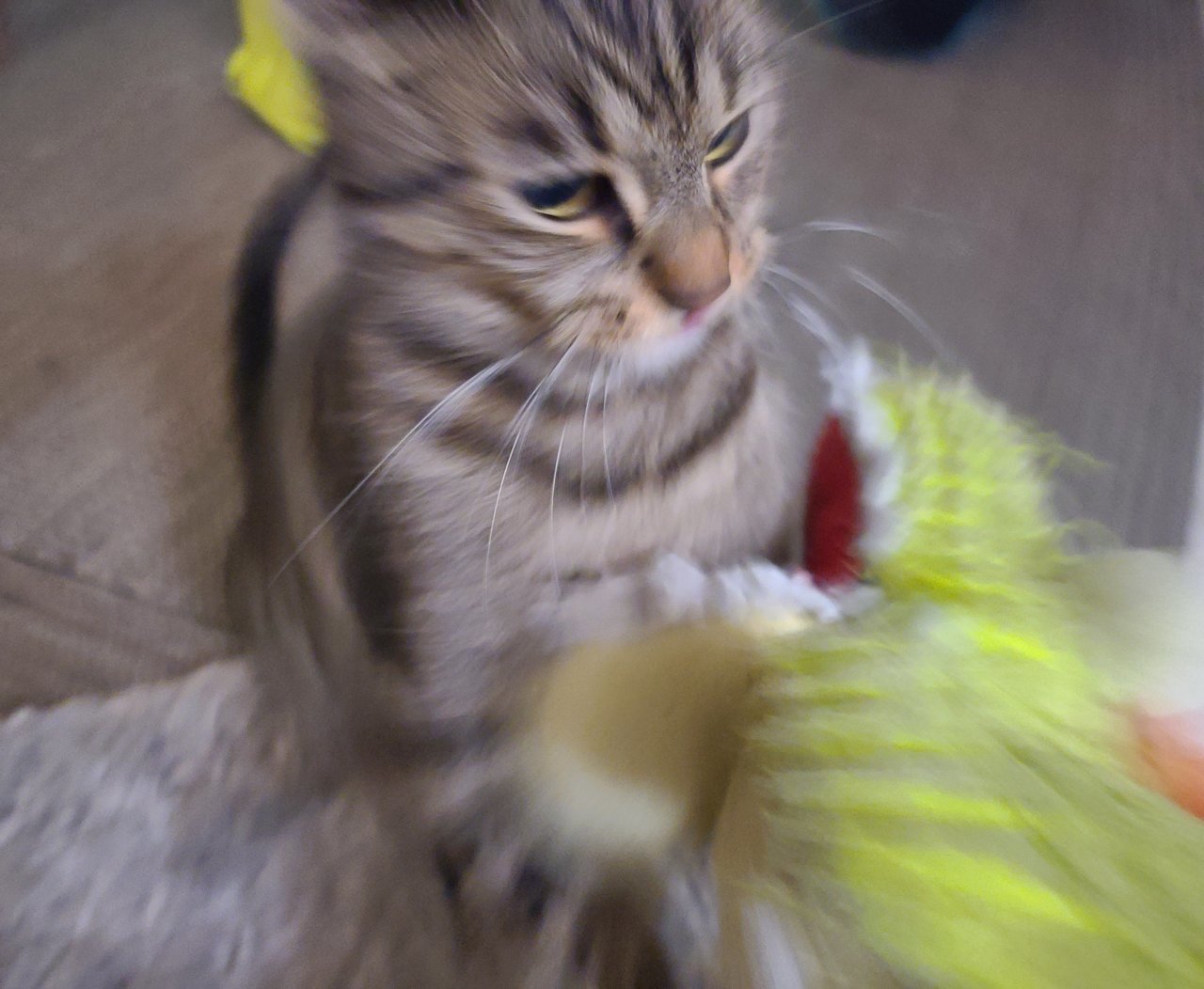 20230210_002349.jpg