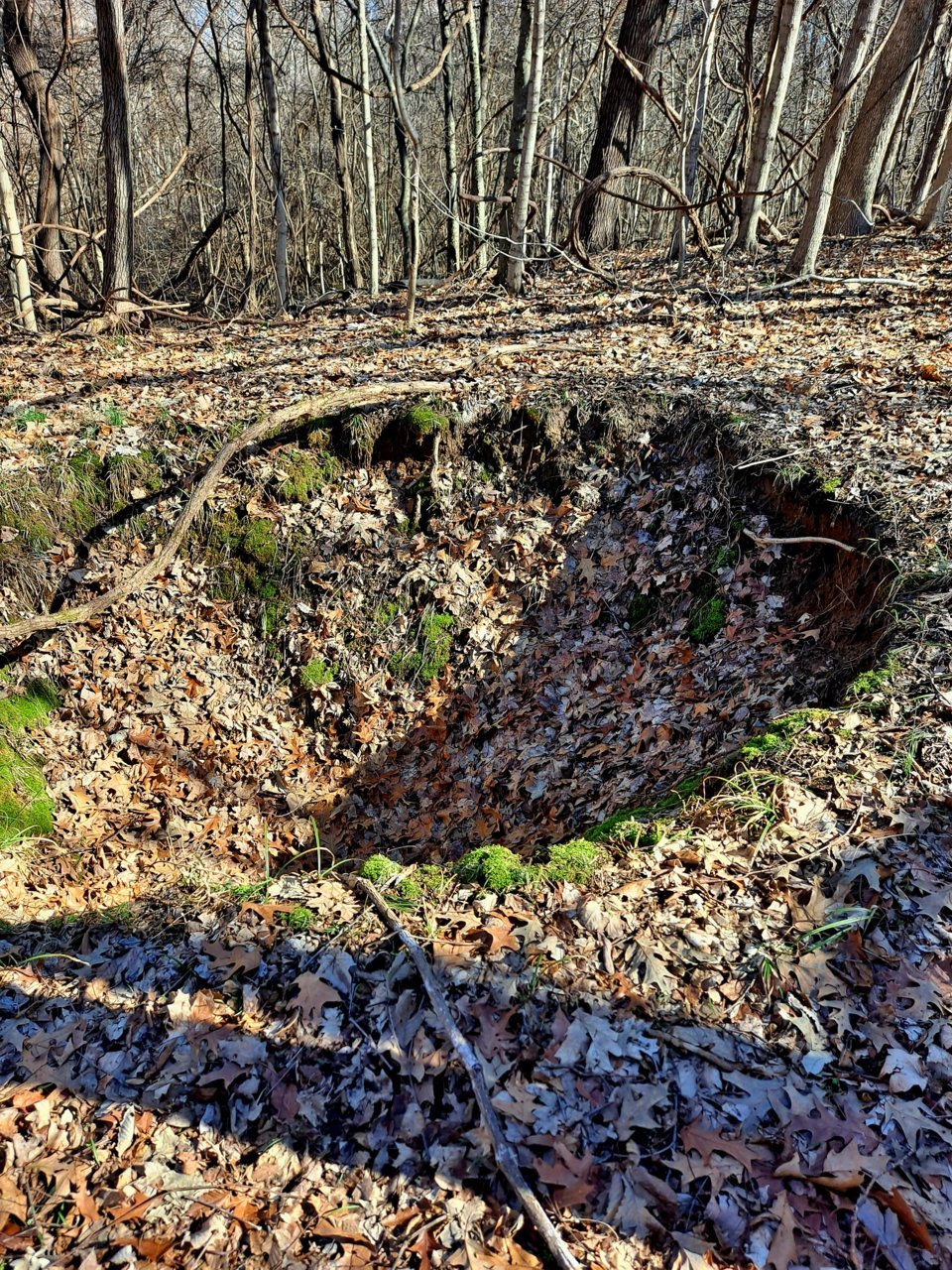 20230211_103848.jpg