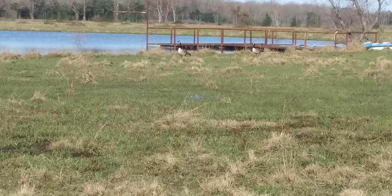20230212_151014.jpg