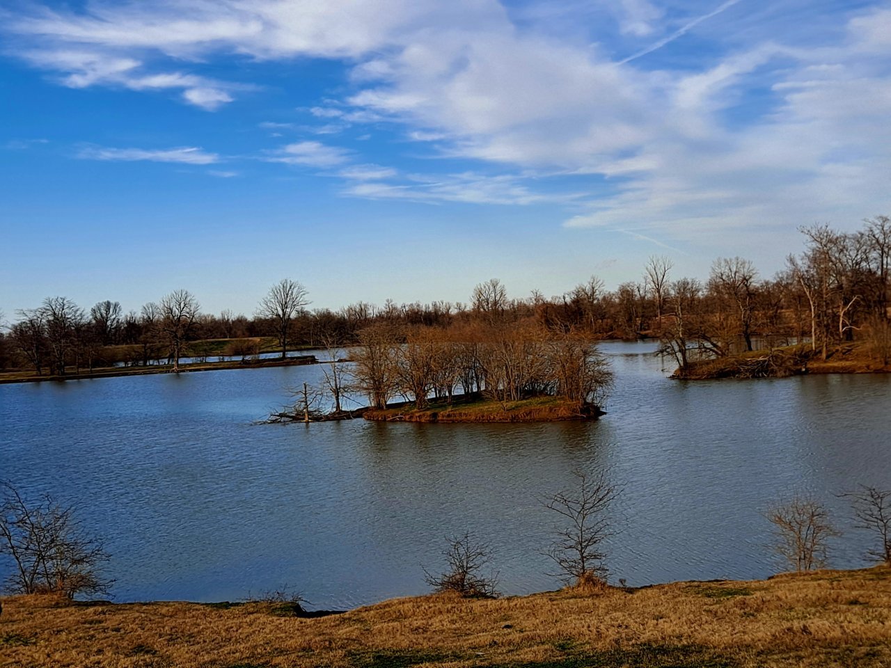 20230215_161219.jpg