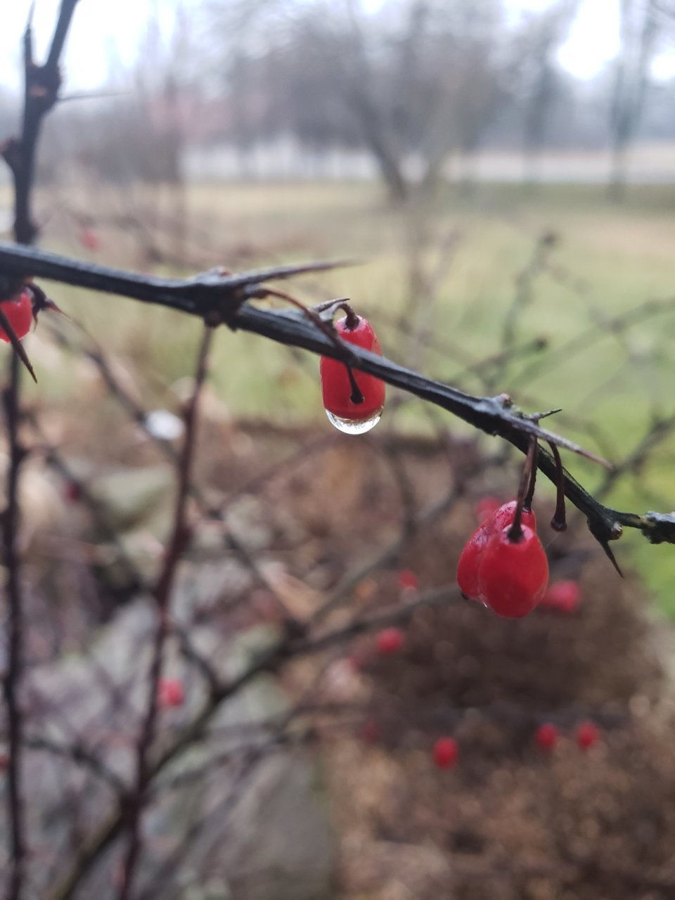20230216_173035.jpg