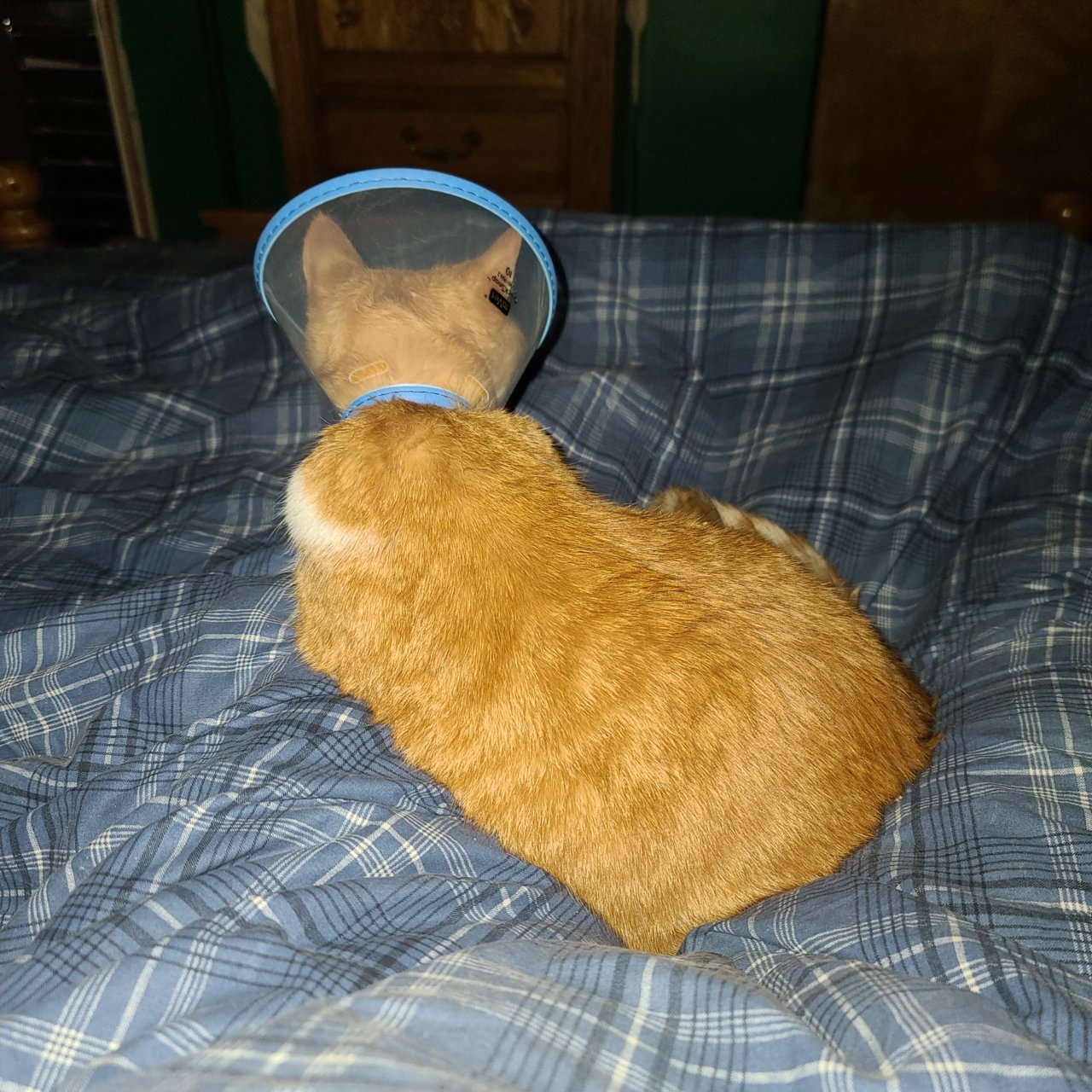 20230216_175056.jpg