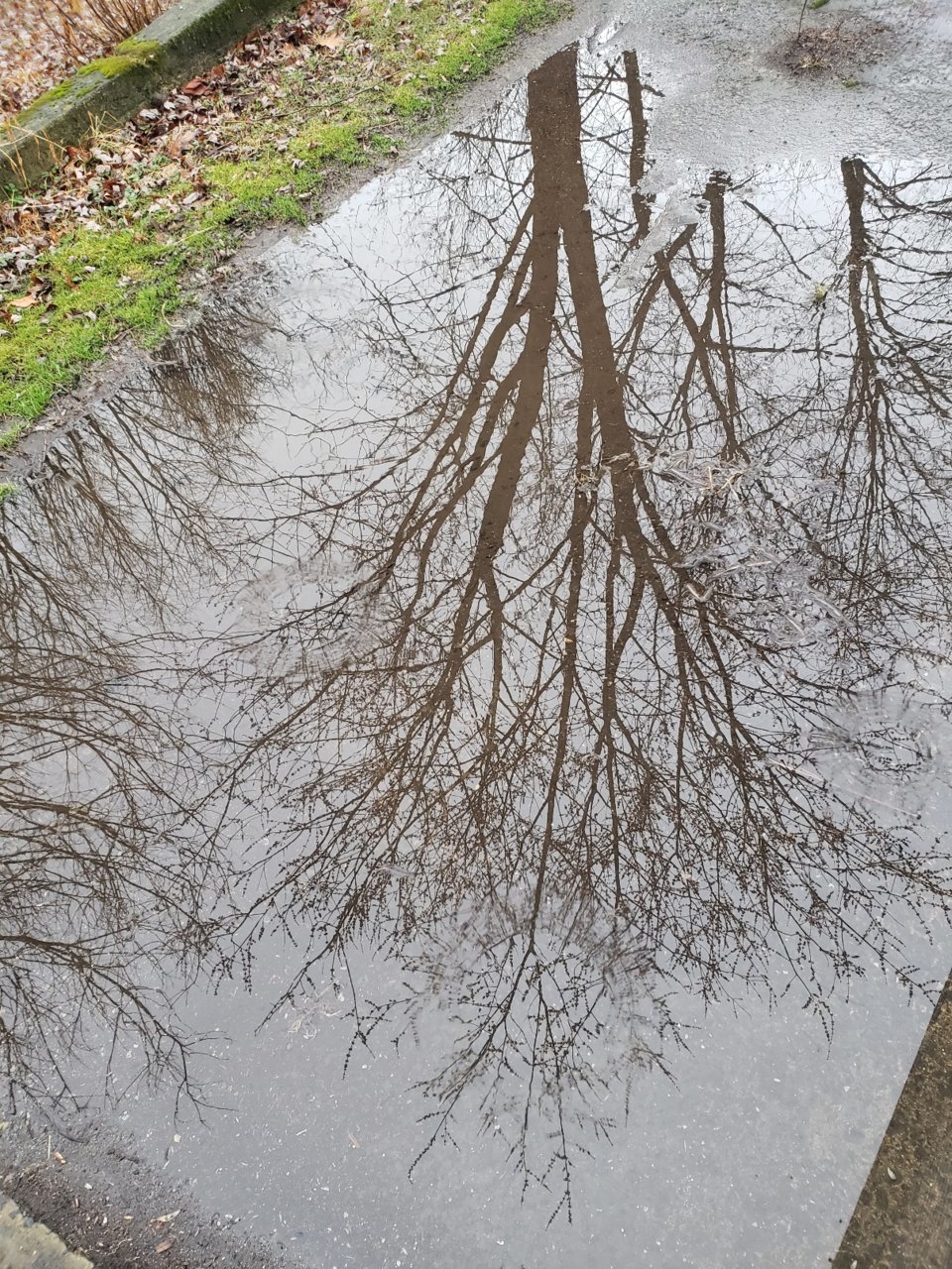 20230217_084521.jpg