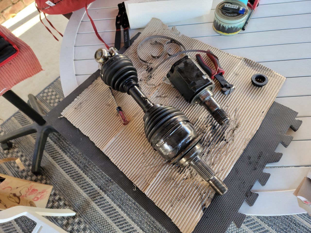 20230219_121934.jpg