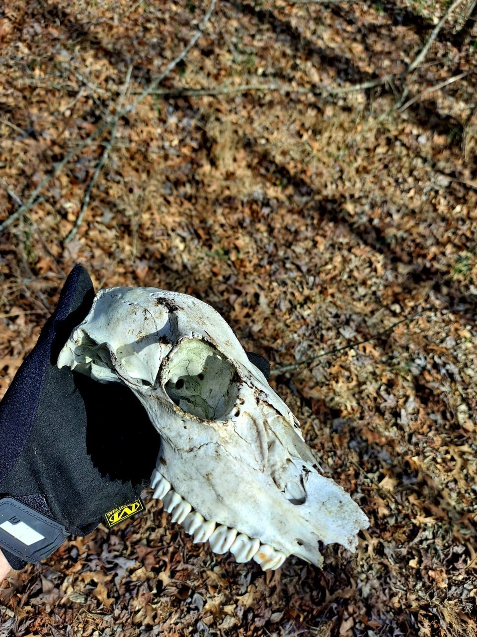 20230221_105524.jpg