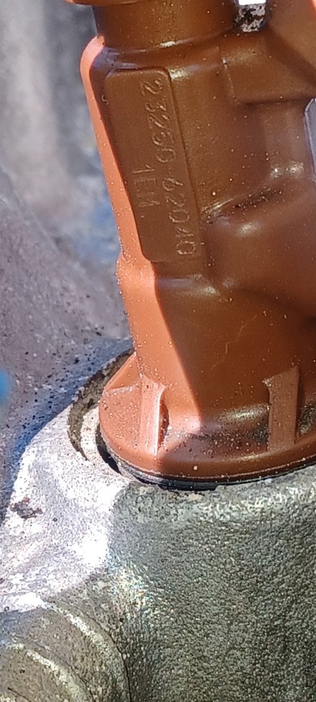20230221_125809.jpg