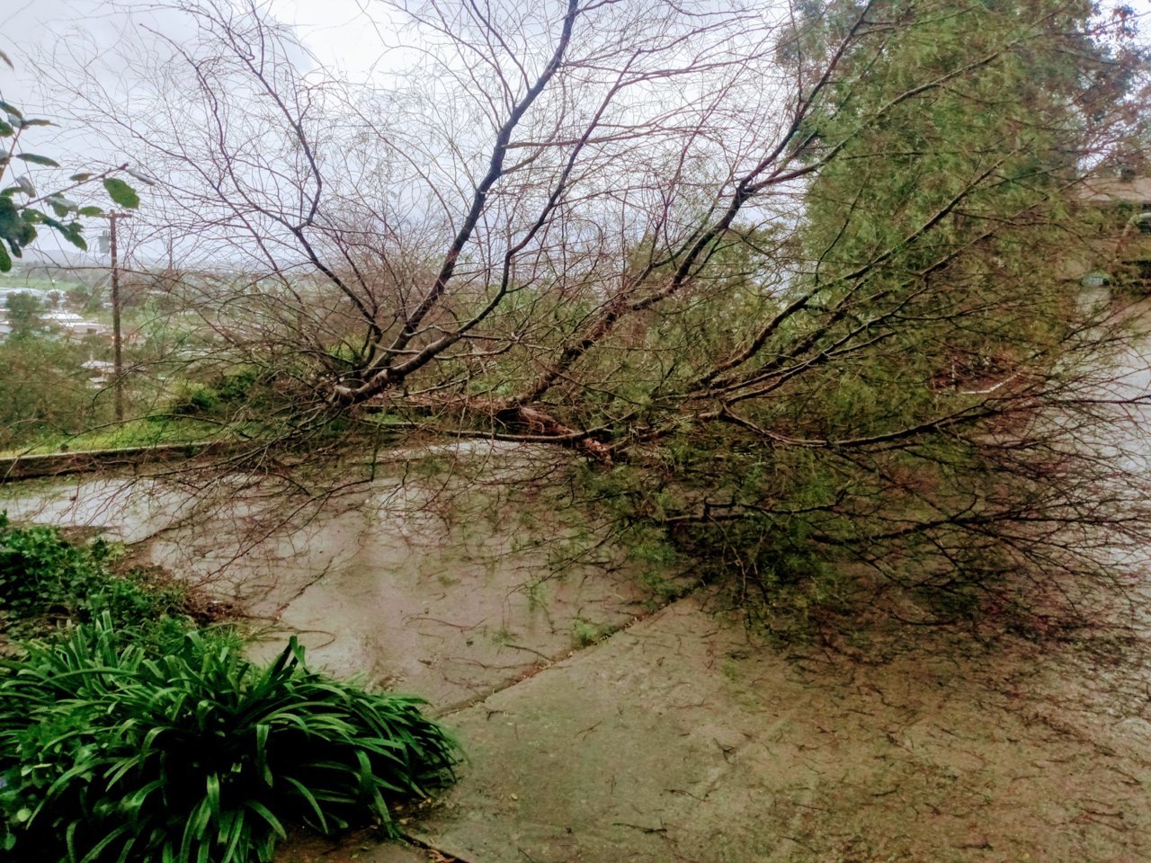 20230222_061553_HDR~2.jpg