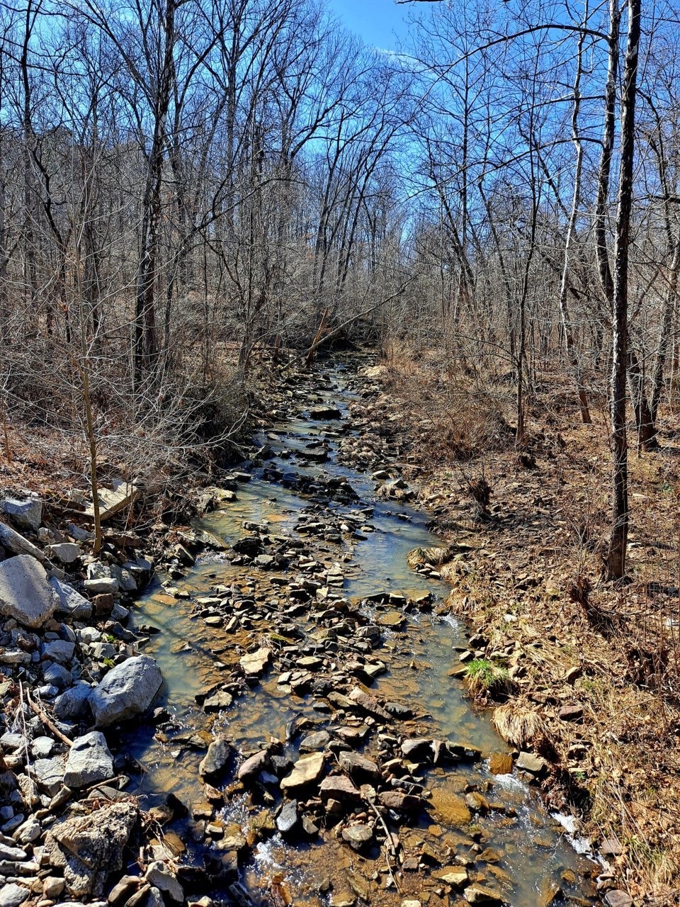 20230224_133353.jpg