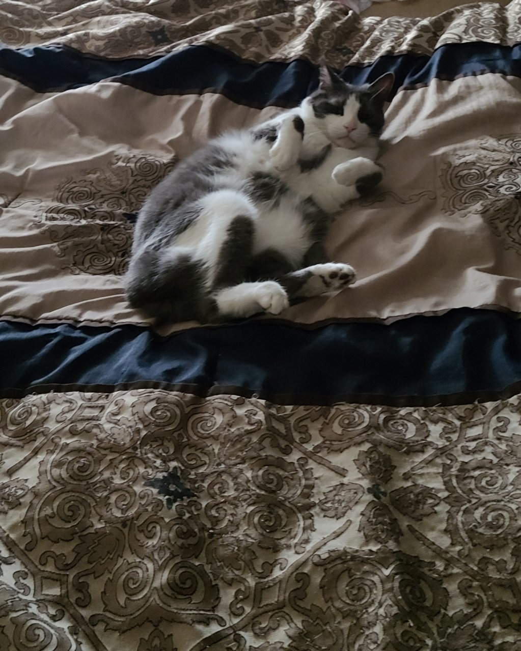 20230226_082631.jpg