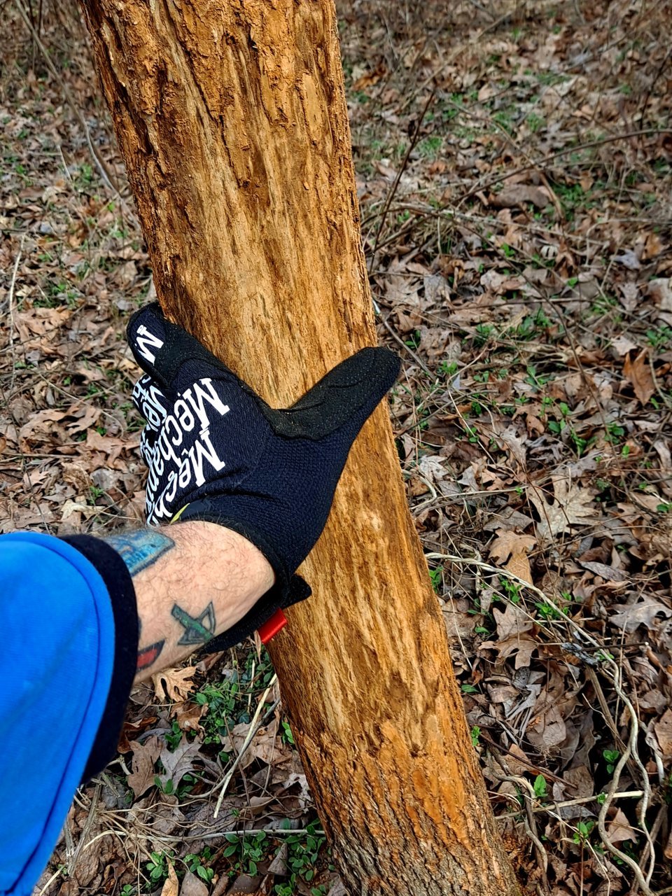 20230301_105206.jpg