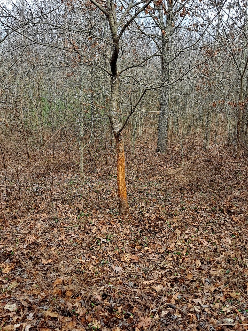 20230301_105250.jpg