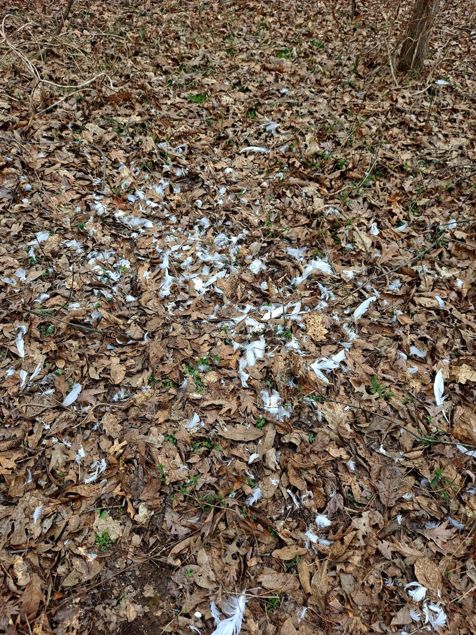 20230301_110932.jpg