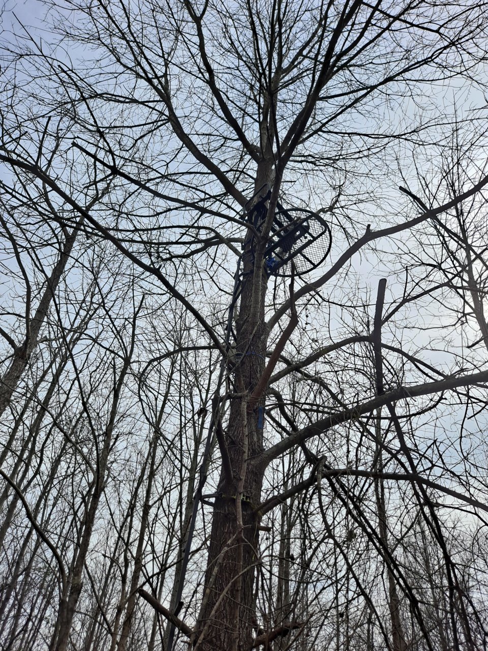 20230301_114516.jpg