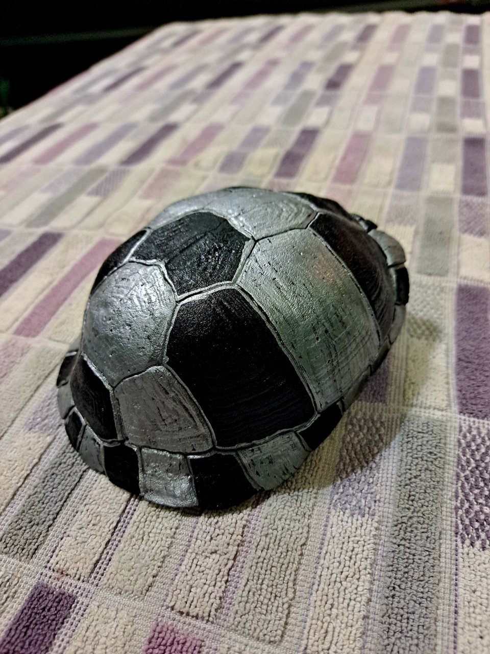 20230301_175248.jpg