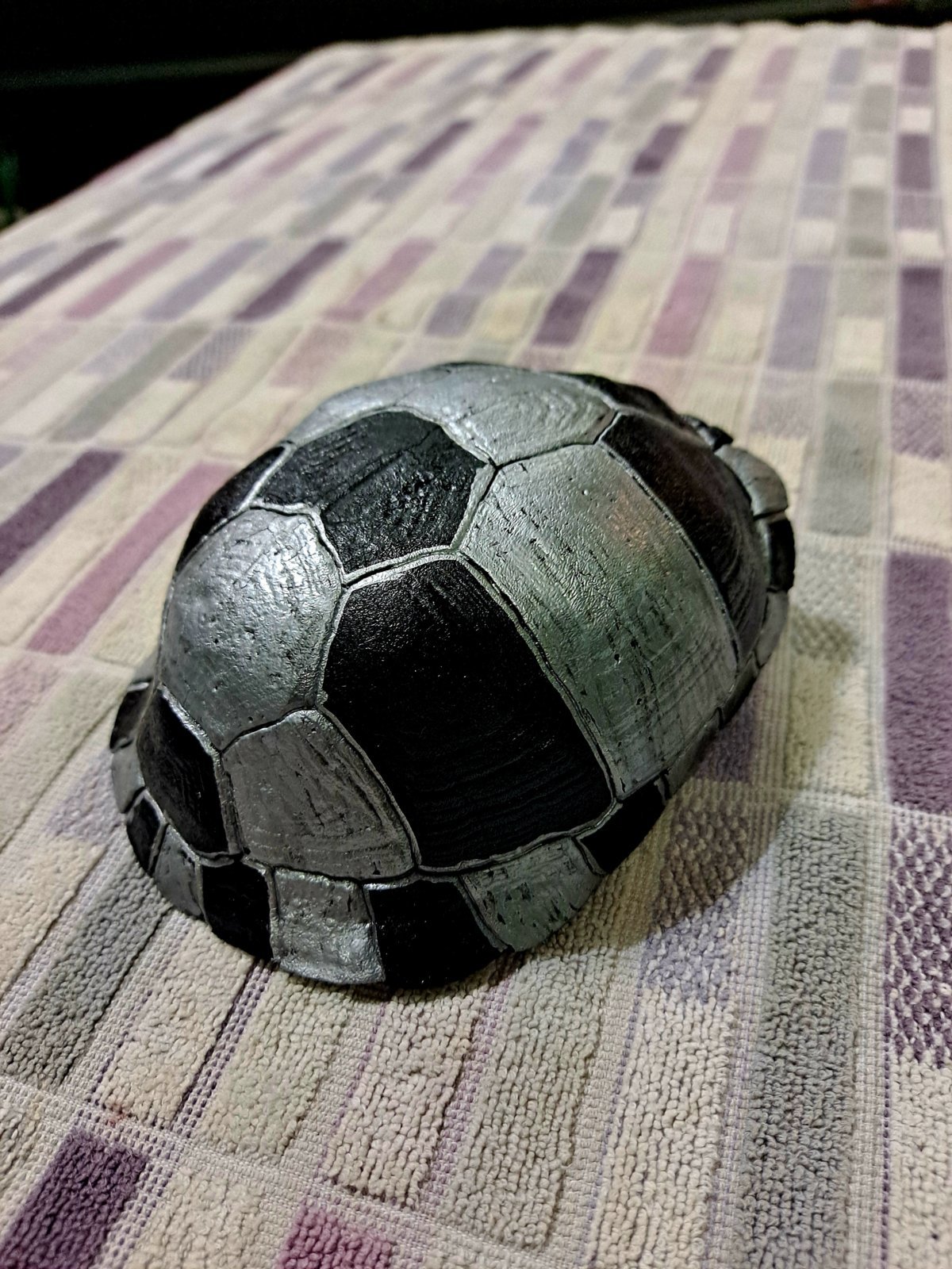 20230301_175248.jpg
