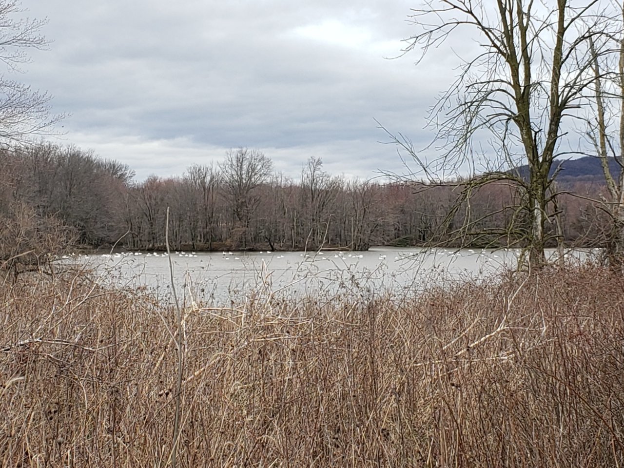 20230304_191943.jpg