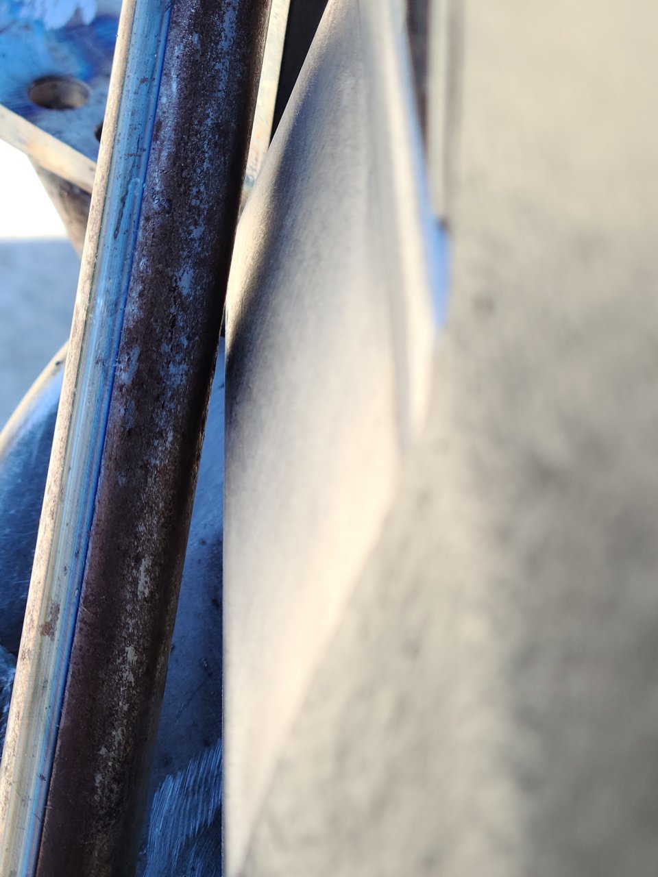 20230305_121256.jpg