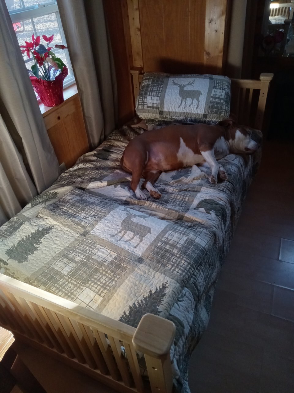 20230305_160818.jpg
