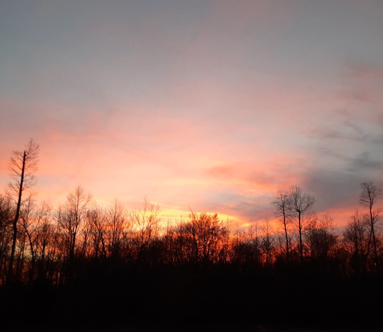 20230305_184754.jpg
