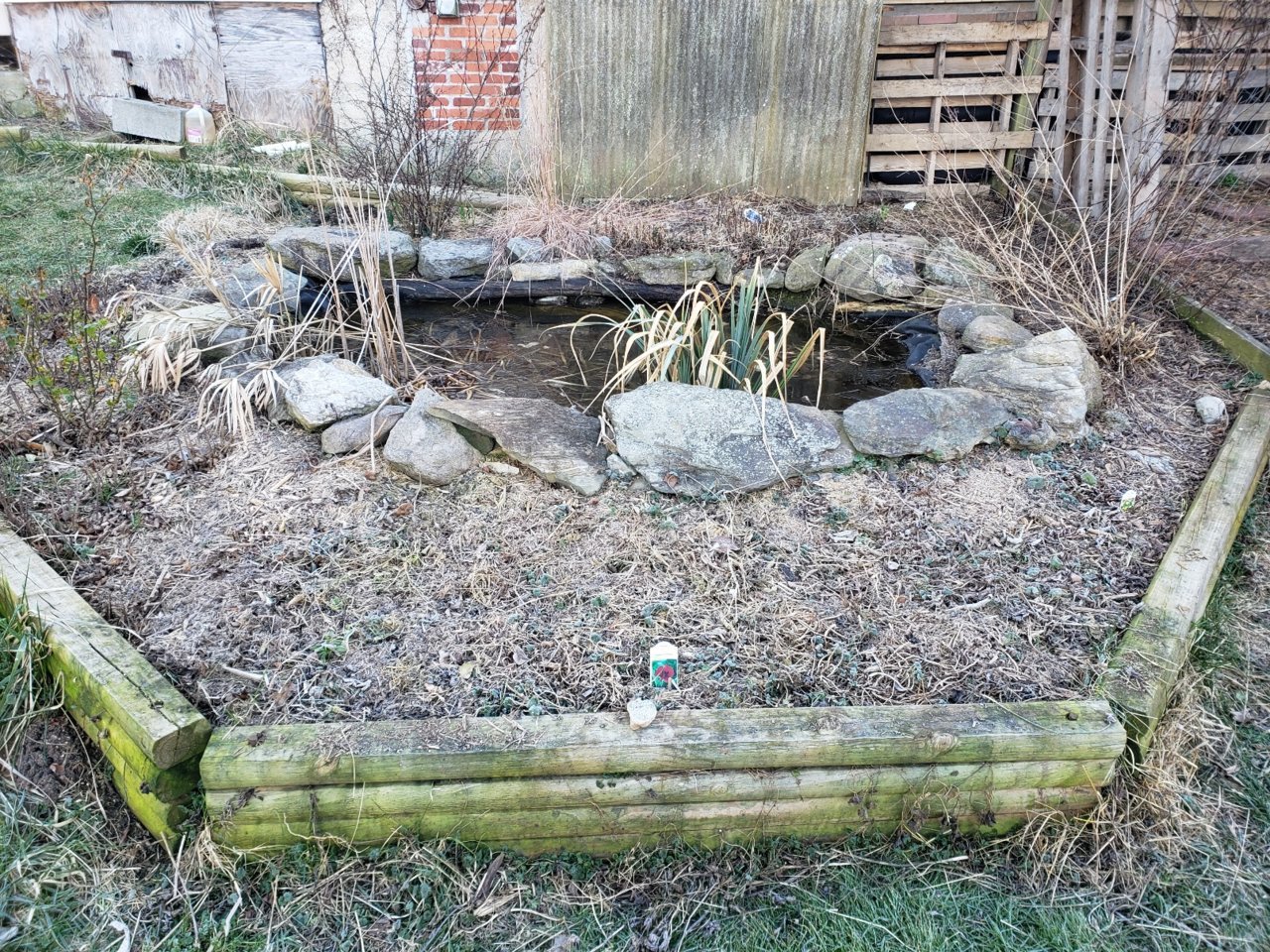 20230306_080637.jpg