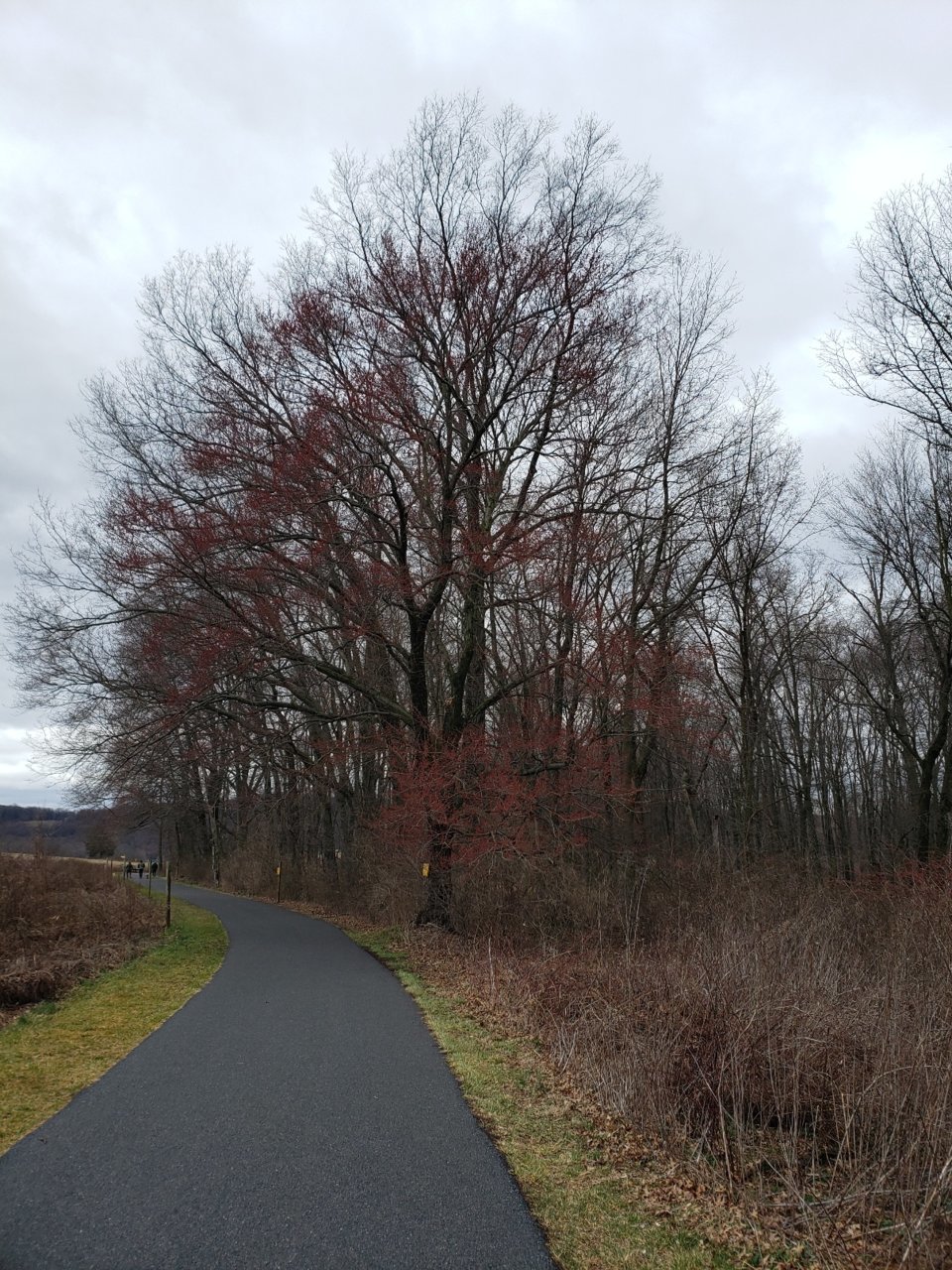 20230306_210815.jpg