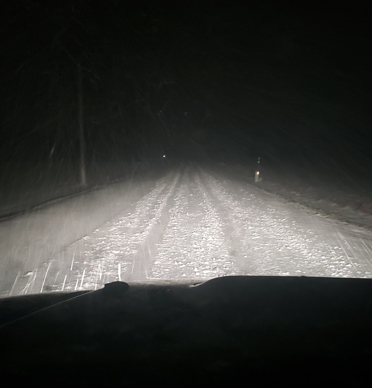 20230310_074240.jpg