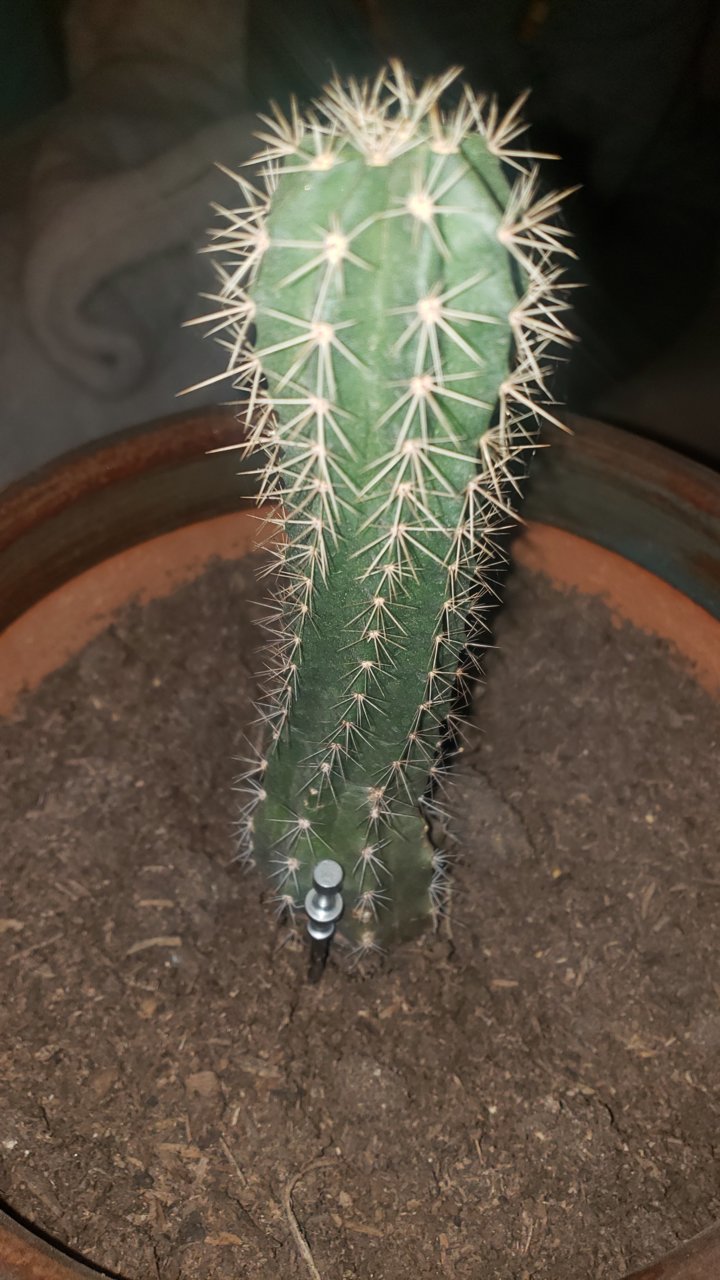 20230310_203245.jpg