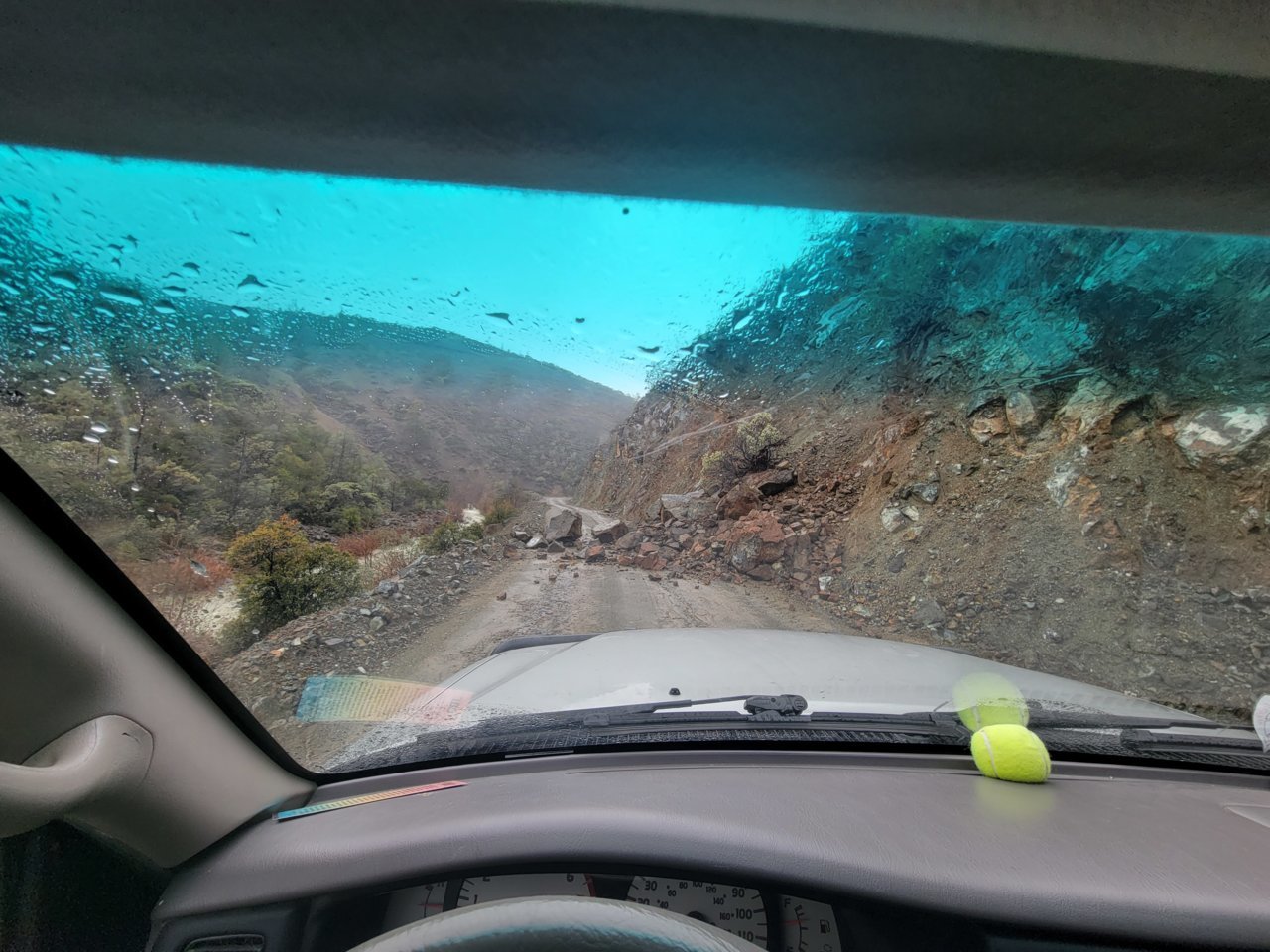 20230311_130328.jpg