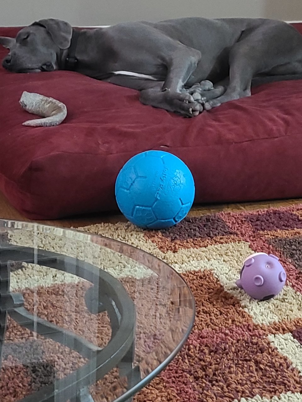 20230311_183913.jpg