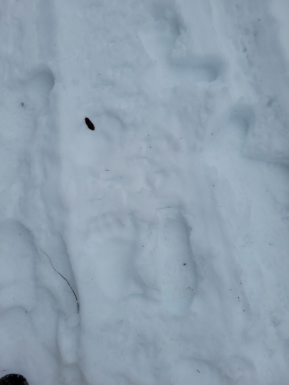 20230312_112920.jpg
