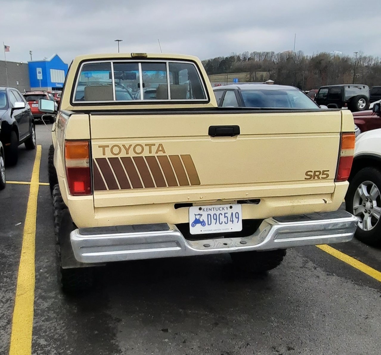 20230313_113822.jpg