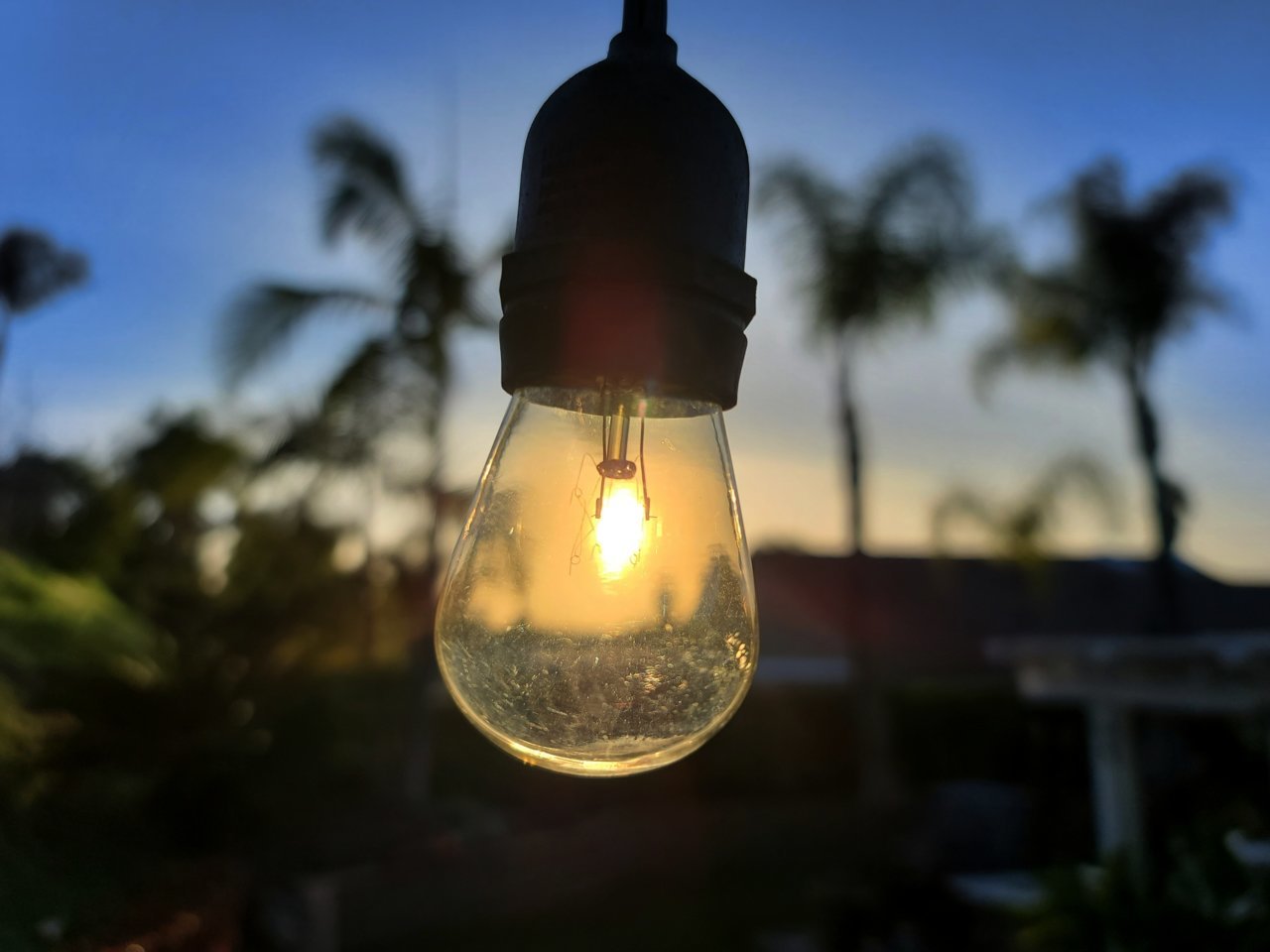 20230313_182000.jpg
