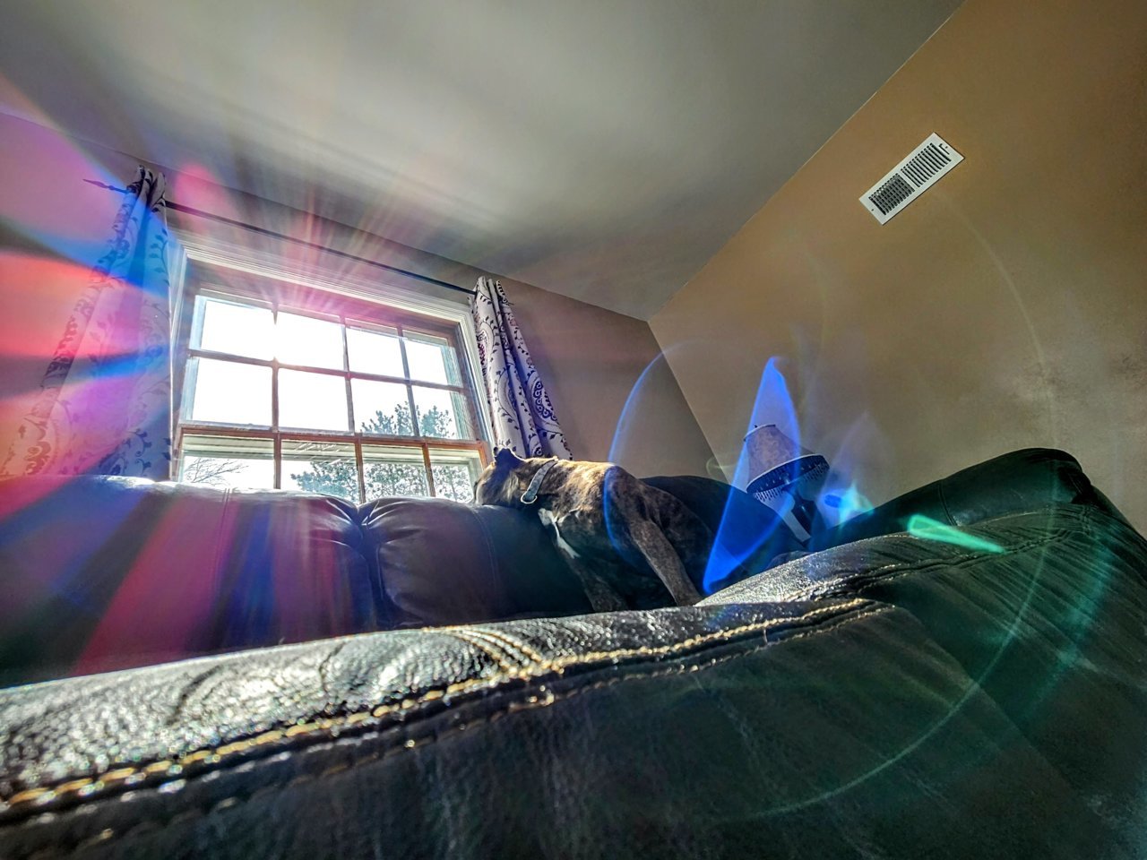 20230315_133533~2.jpg