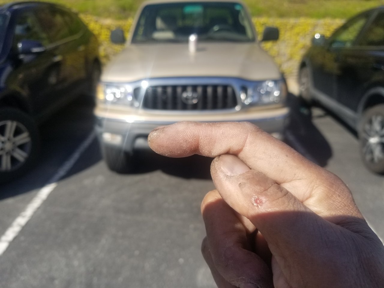 20230315_155236.jpg