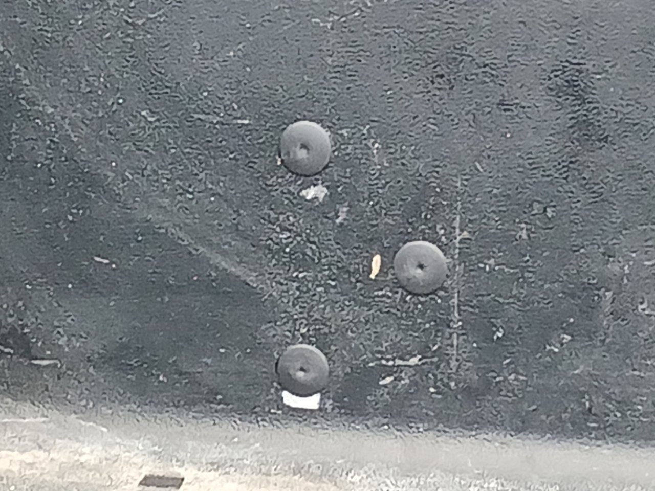 20230316_153807.jpg