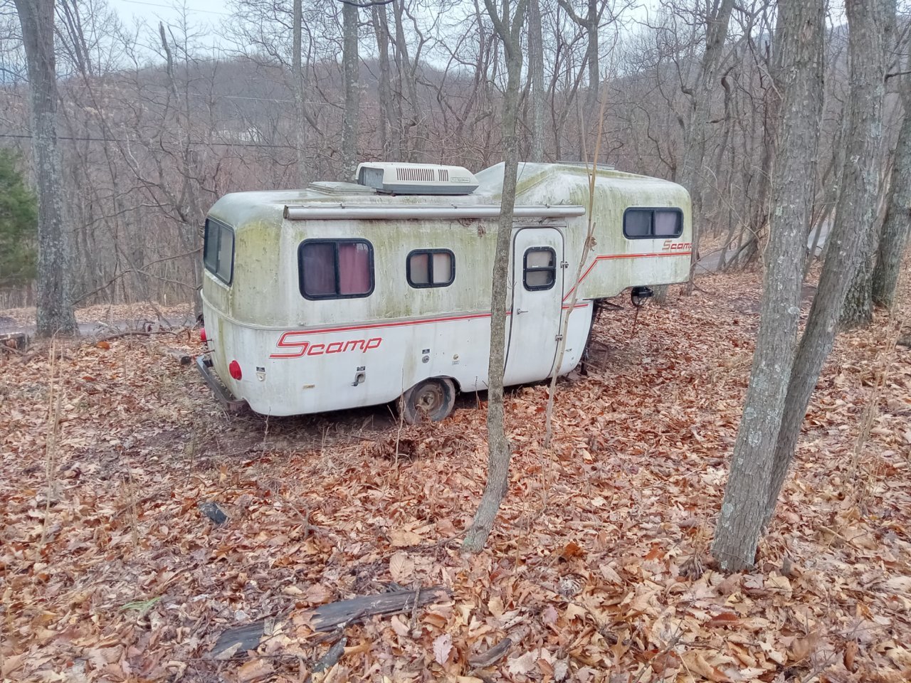 20230317_114514.jpg