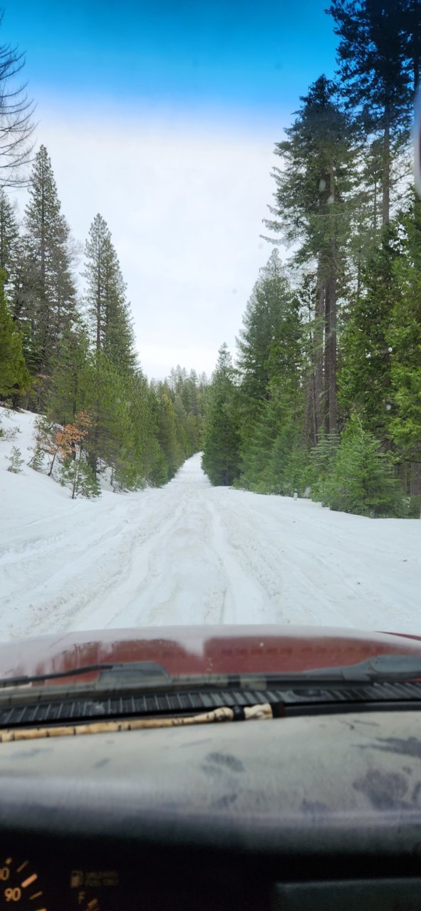 20230318_160856.jpg