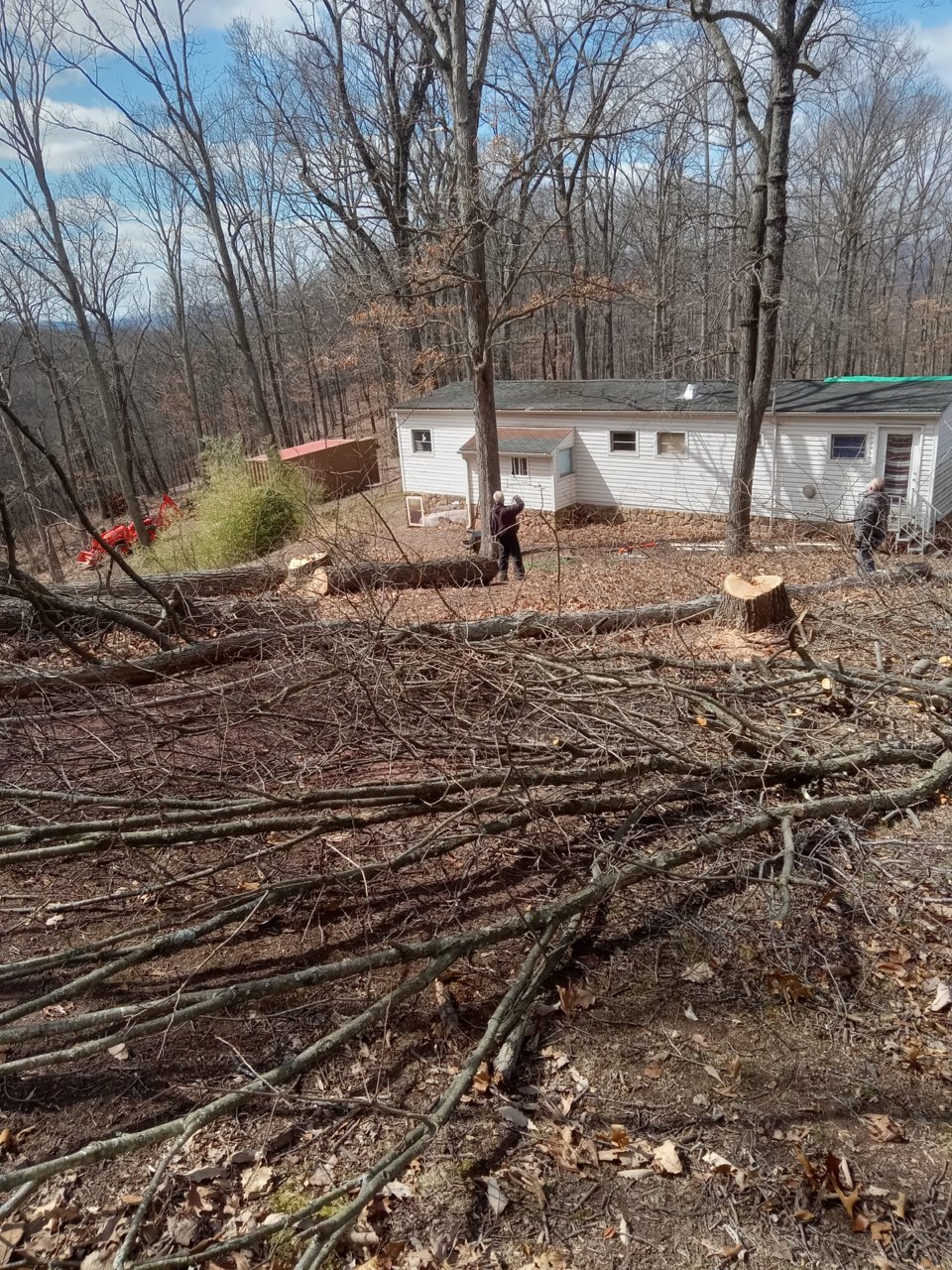 20230319_131338.jpg
